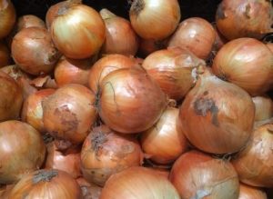 Onion love spell