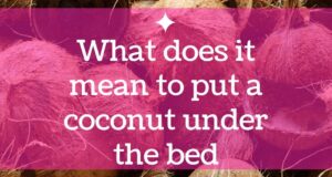 What does it mean to put a coconut under the bed